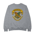 Harry Potter Hogwarts Crest Men's Sweatshirt product image 1